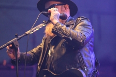 Skindred