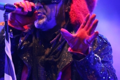 Skindred