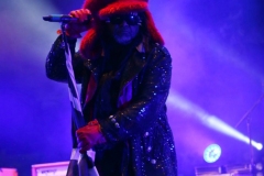 Skindred