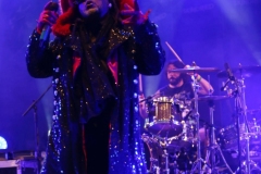 Skindred