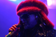 Skindred