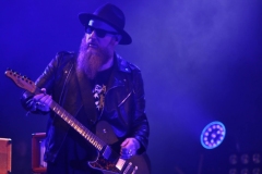Skindred