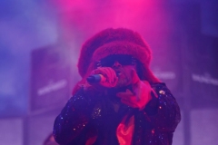 Skindred