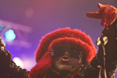 Skindred
