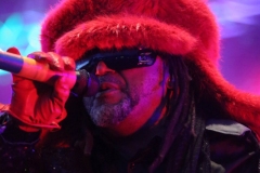Skindred