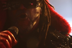 Skindred