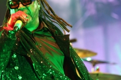 Skindred