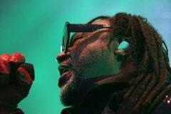 Skindred