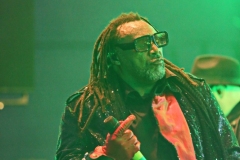 Skindred