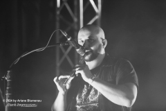 Saltatio Mortis