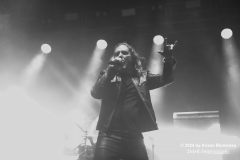 Dark Tranquillity