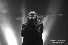 Dark Tranquillity