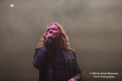 Dark Tranquillity