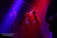 Dark Tranquillity