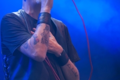 Leæther Strip