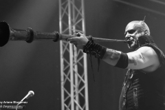 05_Tanzwut_03
