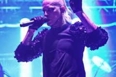 Lord of the Lost