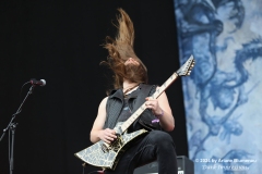 The Black Dahlia Murder