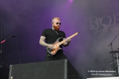 Born of Osiris