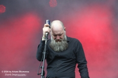 Iron Walrus