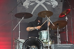 Iron Walrus