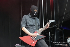 Iron Walrus