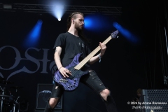 Sylosis