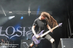 Sylosis