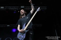 Sylosis