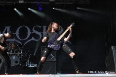 Sylosis