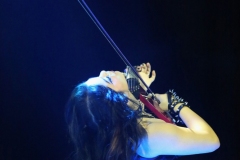 The Legendary Orchestra