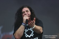 Tankard