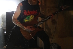 Jarl