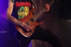Jarl