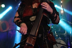 Vogelfrey