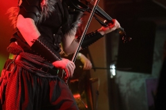 Vogelfrey