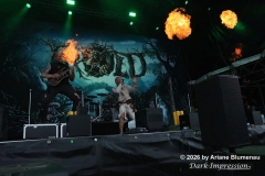 Trold
