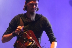 Faun