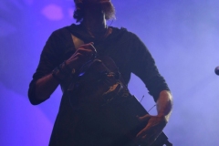 Faun