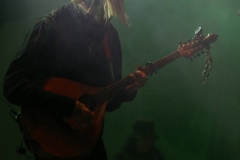 Faun