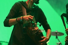 Faun