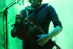 Faun