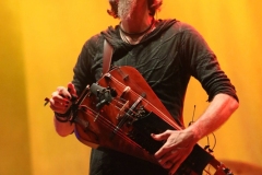 Faun