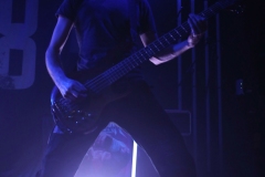 Xskull8