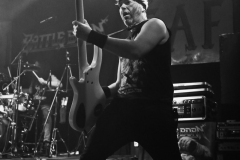 Battle Born