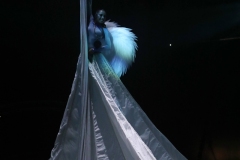 Zirkus des Horrors