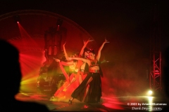 Zirkus des Horrors