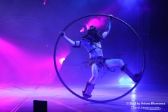 Zirkus des Horrors