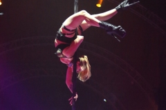 Zirkus des Horrors