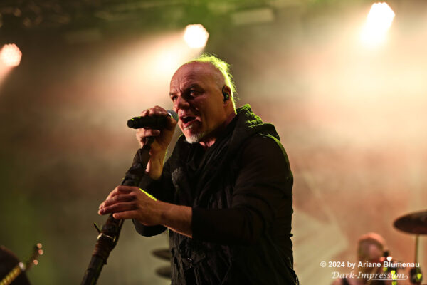 Subway to Sally at Metal Frenzy Festival 2024